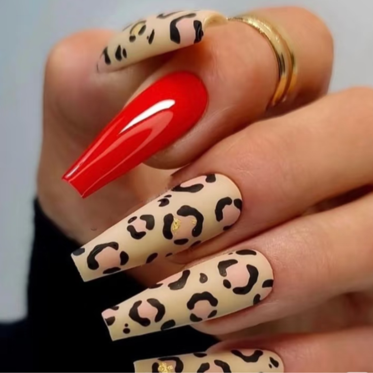 Leopard Passion